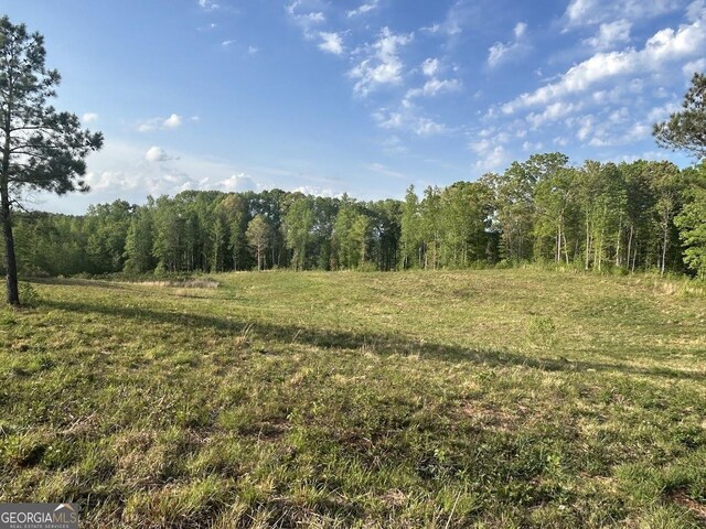 0 Needmore Rd Unit 345.37, Acres Roopville, GA 30170