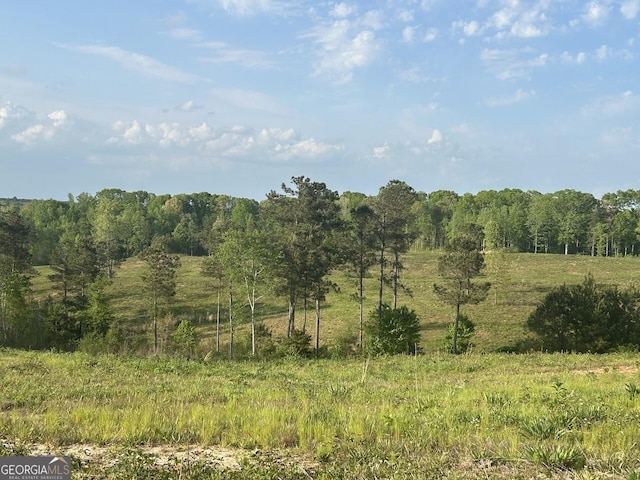 0 Needmore Rd Unit 345.37, Acres Roopville, GA 30170
