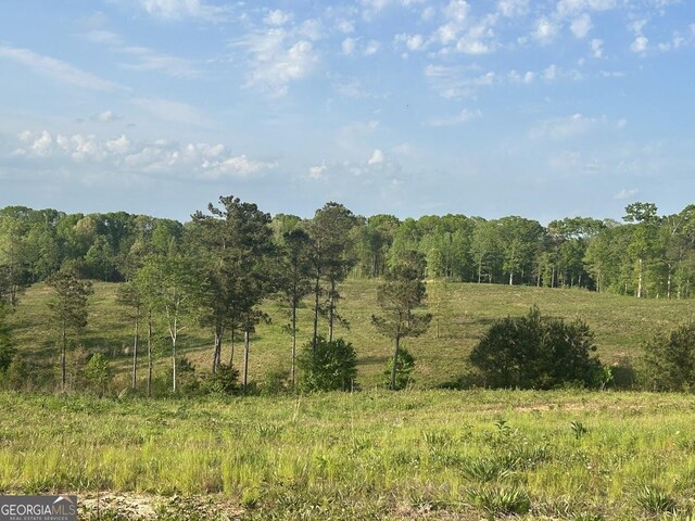 0 Needmore Rd Unit 345.37, Acres Roopville, GA 30170