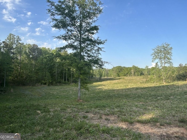 0 Needmore Rd Unit 345.37, Acres Roopville, GA 30170