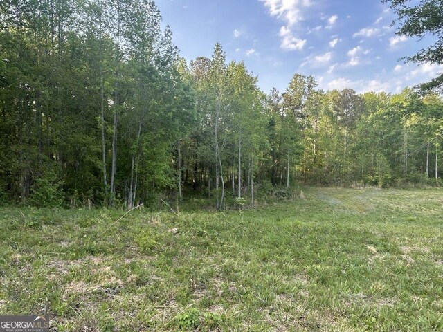 0 Needmore Rd Unit 345.37, Acres Roopville, GA 30170