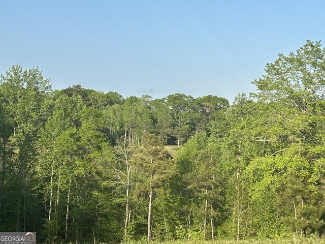 0 Needmore Rd Unit 345.37, Acres Roopville, GA 30170