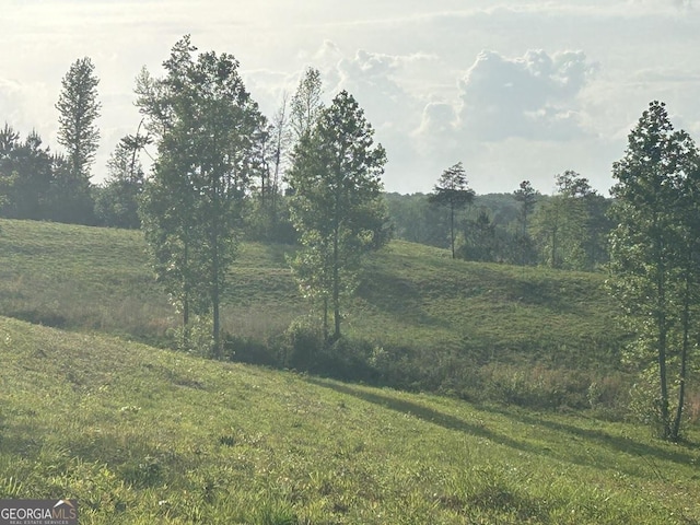 0 Needmore Rd Unit 345.37, Acres Roopville, GA 30170