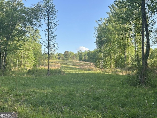 0 Needmore Rd Unit 345.37, Acres Roopville, GA 30170