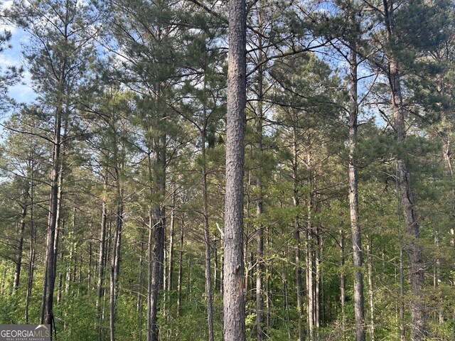 0 Needmore Rd Unit 345.37, Acres Roopville, GA 30170