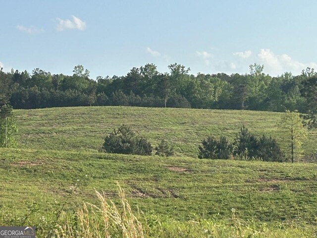 0 Needmore Rd Unit 345.37, Acres Roopville, GA 30170