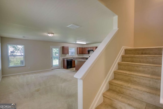 11224 Aliyah Dr, Hampton, GA 30228 - stairs featuring baseboards and carpet