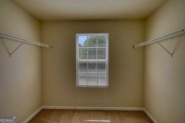 11224 Aliyah Dr, Hampton, GA 30228 - walk in closet with carpet flooring