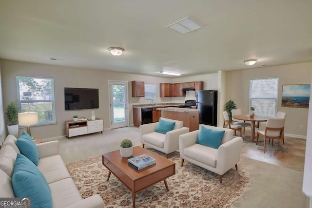 11224 Aliyah Dr, Hampton, GA 30228 - living area featuring baseboards and visible vents