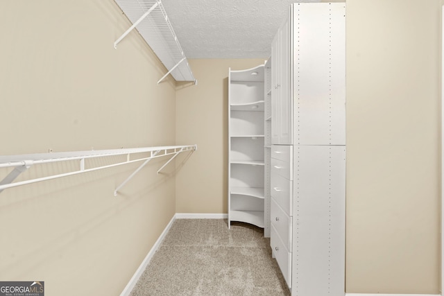 spacious closet featuring carpet