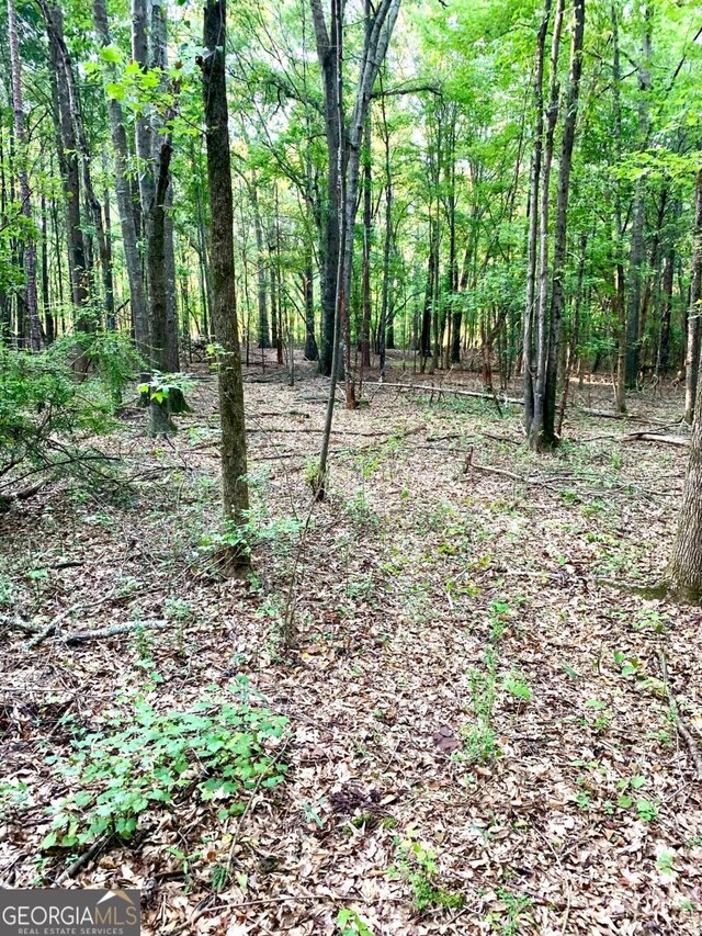 0 Archer Grove School Rd Tract C, Unit Tract C, Athens, GA 30607