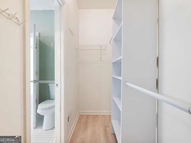 walk in closet featuring light wood finished floors