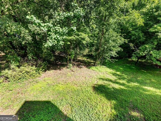 view of green lawn