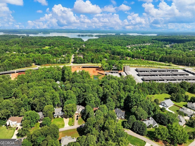 aerial view of residential area with a forest and a nearby body of water