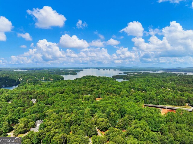bird's eye view of a forest and a nearby body of water
