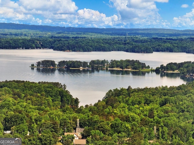 6212 Germantown Dr, Flowery Branch, GA 30542 - drone / aerial view of a heavily wooded area and a large body of water