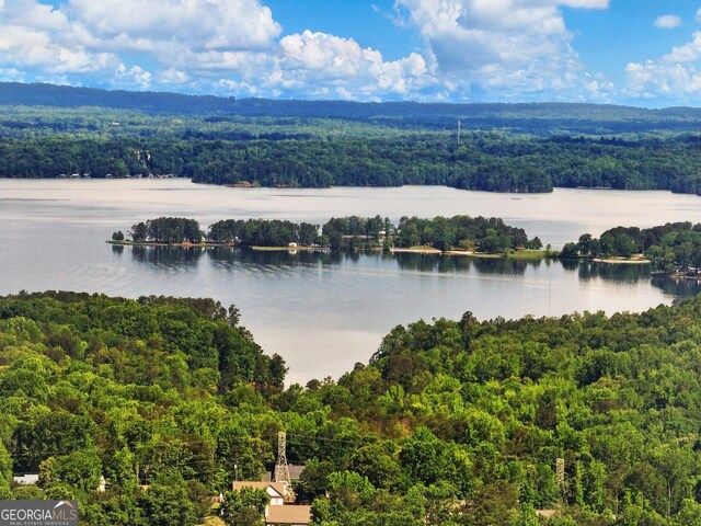 drone / aerial view of a forest and a nearby body of water