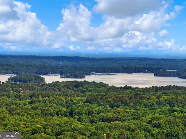 water view with a heavily wooded area