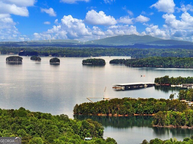 aerial view of a water and mountain view and a forest