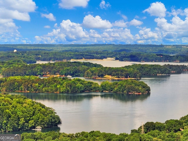 bird's eye view of a forest and a nearby body of water