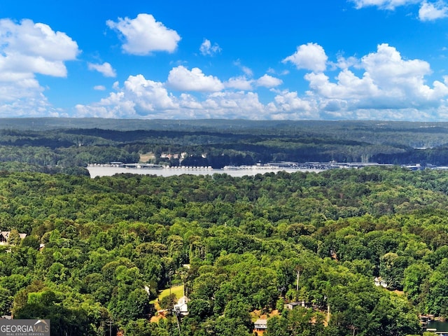 drone / aerial view of a heavily wooded area and a nearby body of water