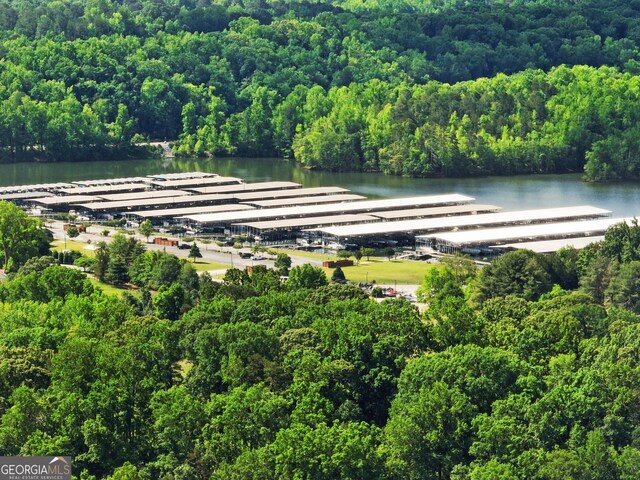 aerial view of a large body of water and a forest