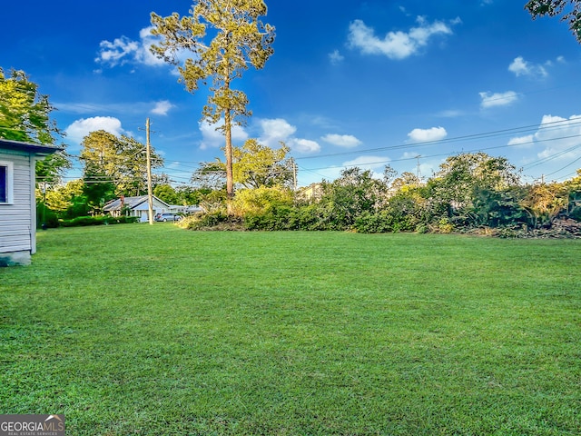view of yard