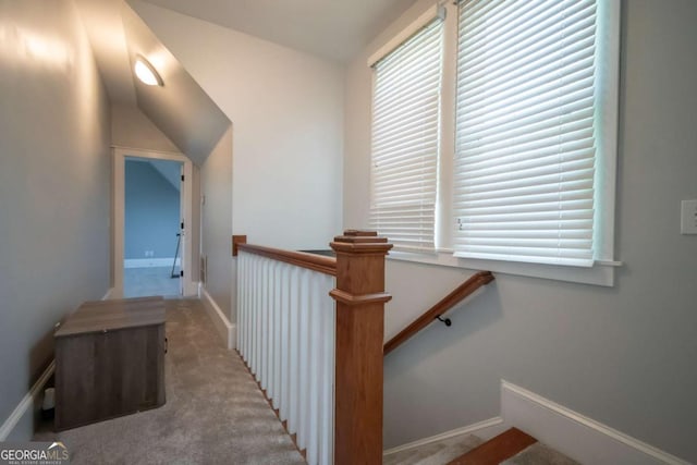 15 Chestnut Oak Run, Athens, GA 30607 - bedroom featuring baseboards, a ceiling fan, carpet flooring, and visible vents