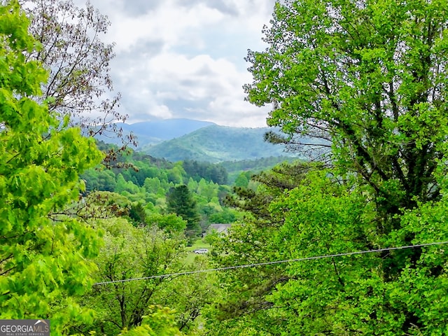 view of mountain feature with a wooded view