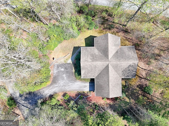 bird's eye view
