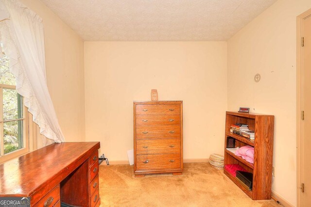 3740 Laurel Brook Way, Snellville, GA 30039 - office area with light carpet, baseboards, and a textured ceiling