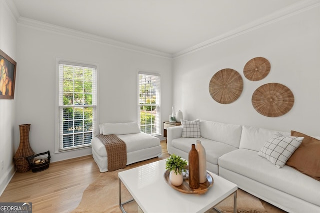 living room with crown molding and light wood-style floors