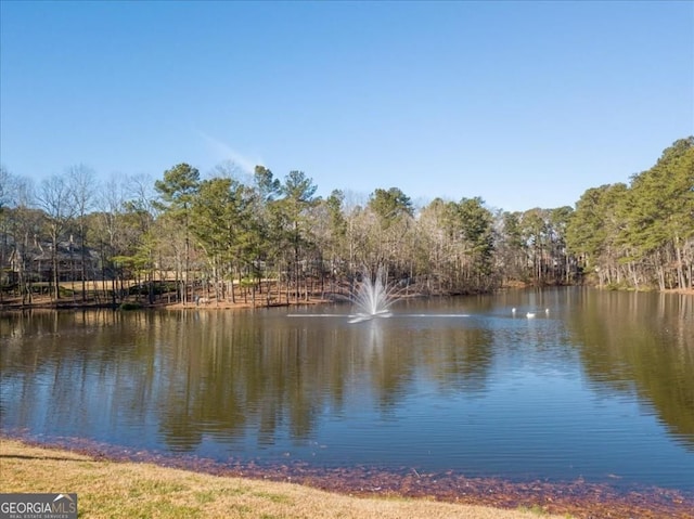 water view featuring a forest