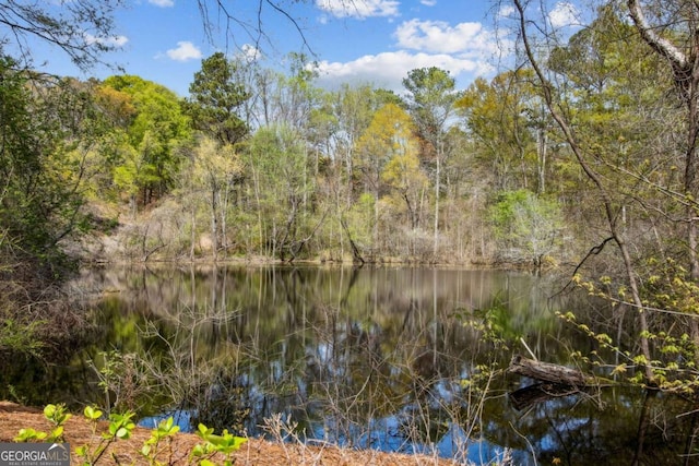 water view with a forest view