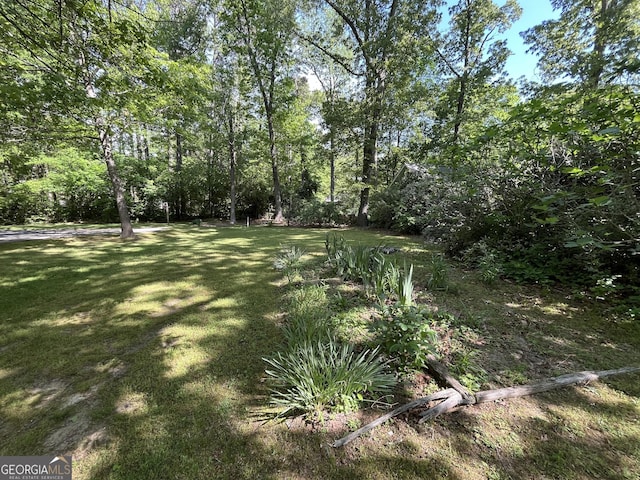 120 Treeside Dr NW, Rome, GA 30165 - view of yard