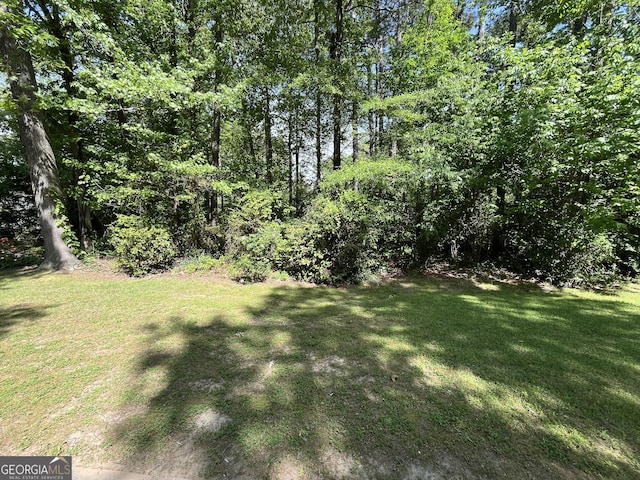 120 Treeside Dr NW, Rome, GA 30165 - view of yard