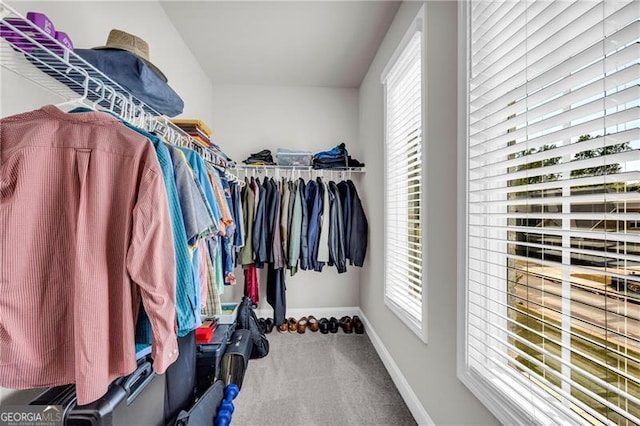 5003 Fairview Cir, Villa Rica, GA 30180 - walk in closet featuring carpet