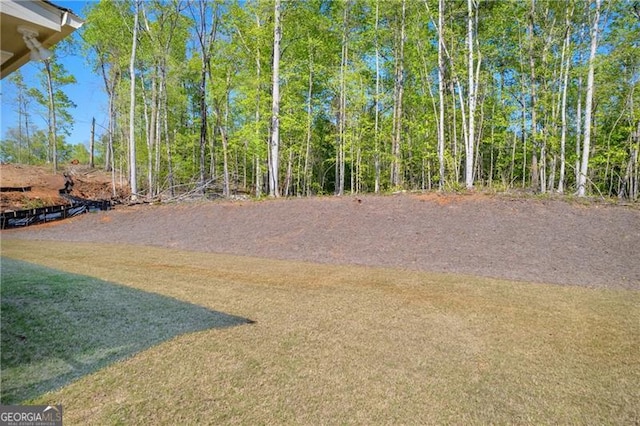 5003 Fairview Cir, Villa Rica, GA 30180 - view of yard
