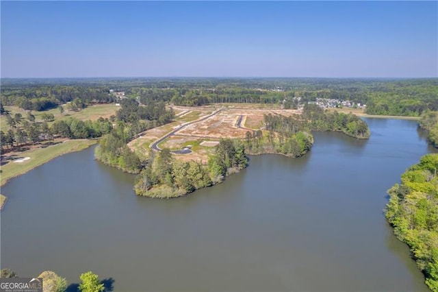 5003 Fairview Cir, Villa Rica, GA 30180 - birds eye view of property featuring a view of trees and a water view
