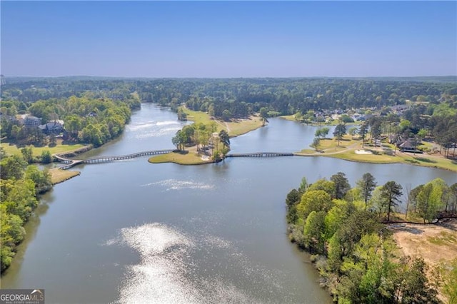 5003 Fairview Cir, Villa Rica, GA 30180 - birds eye view of property featuring a forest view and a water view