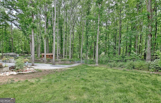 135 Adams Park Dr, Fayetteville, GA 30214 - view of green lawn with an outbuilding and a view of trees
