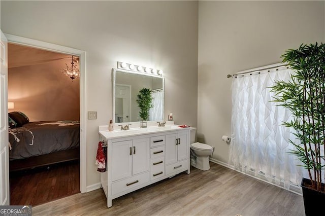 70 Denny Ridge Rd, Jasper, GA 30143 - ensuite bathroom with wood finished floors, a sink, double vanity, and toilet