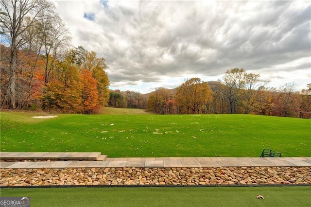 70 Denny Ridge Rd, Jasper, GA 30143 - view of home's community featuring a view of trees and a yard