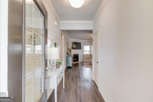 hall with ornamental molding and dark wood-style flooring