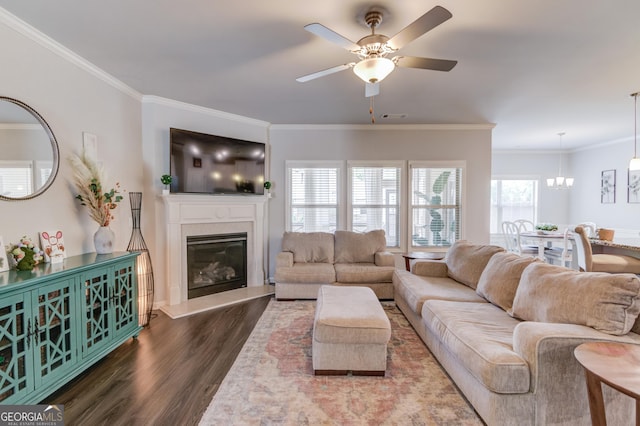 living area featuring dark wood-style floors, crown molding, ceiling fan with notable chandelier, a fireplace, and visible vents