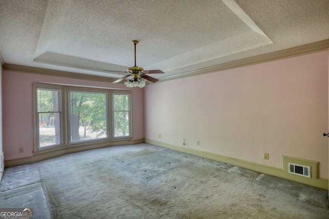 spare room featuring a textured ceiling, visible vents, a raised ceiling, and carpet floors