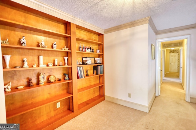 interior space with crown molding, a textured ceiling, carpet flooring, and baseboards