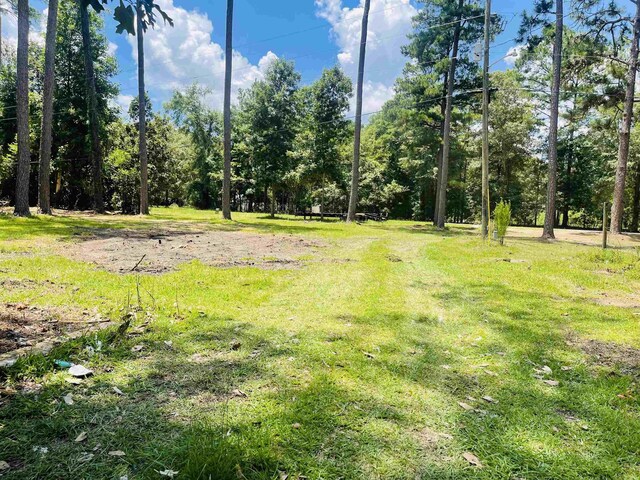 615 Flintside Dr, Cobb, GA 31735