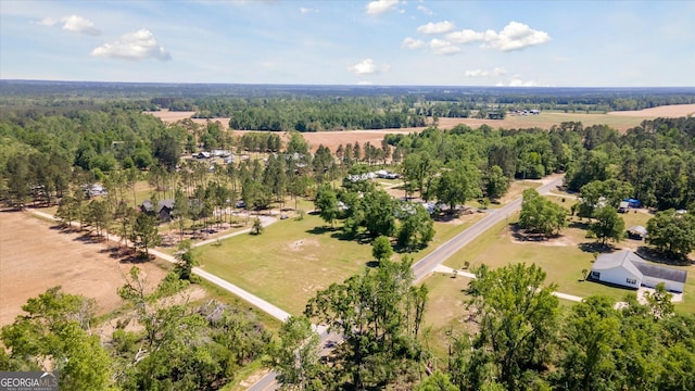 aerial view
