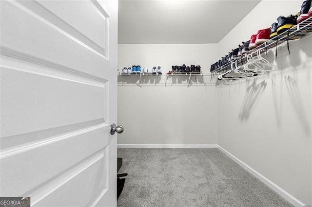 spacious closet featuring carpet